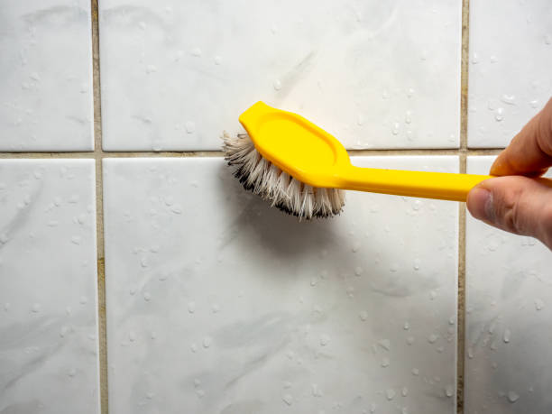 Best Emergency Mold Removal  in Taos, MO