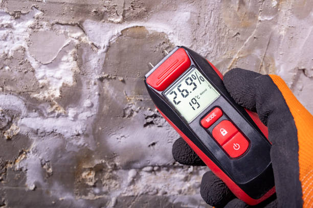 Best Mold Remediation  in Taos, MO